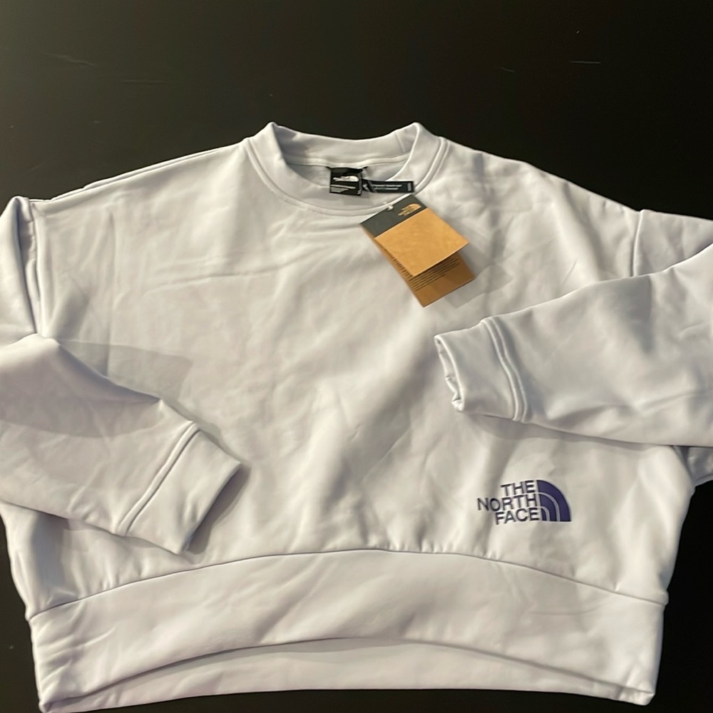 North face Sweatshirt Dusty Periwinkle Small